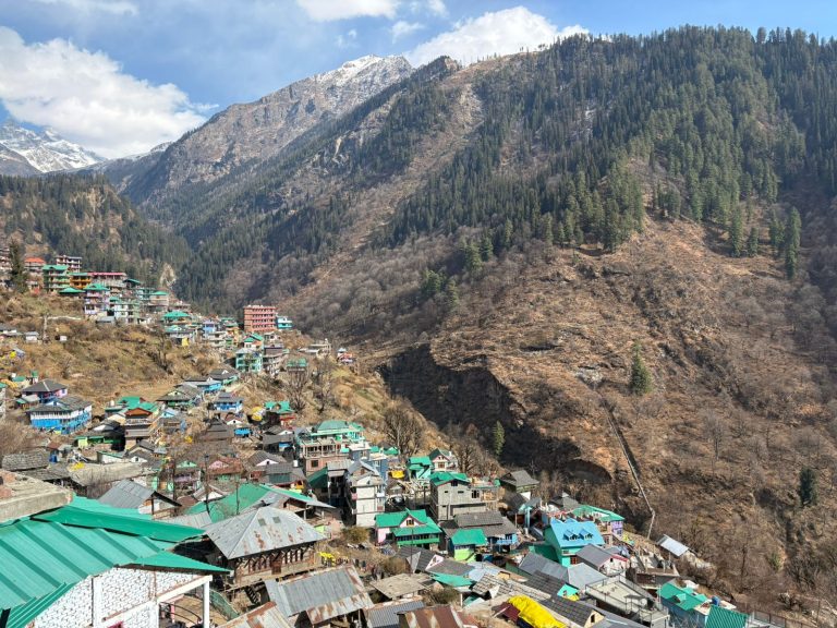 WhatsApp Image 2026 02 03 at 5.55.39 PM