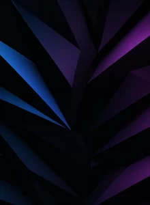 bg6 bg6
